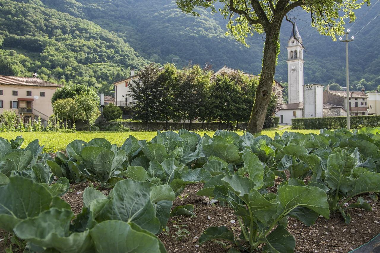Locanda Solagna Quero Kültér fotó