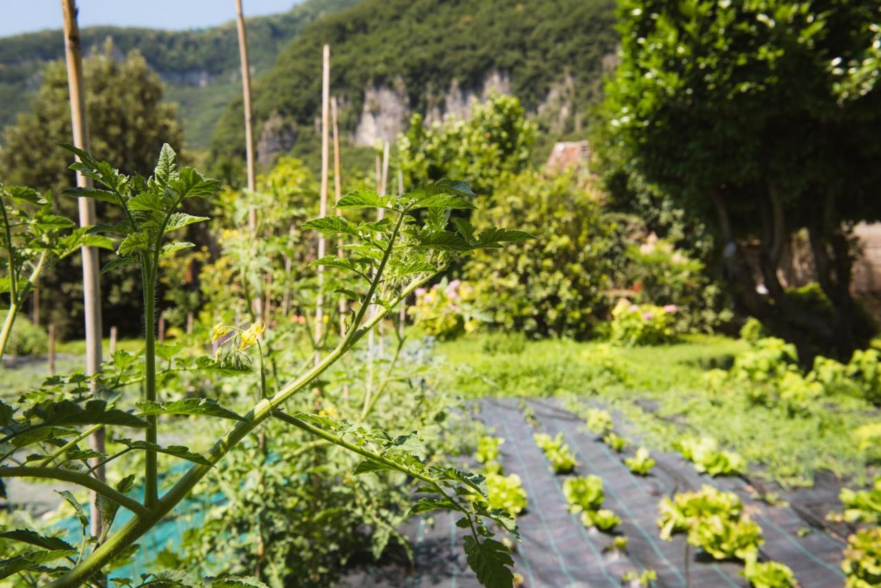 Locanda Solagna Quero Kültér fotó
